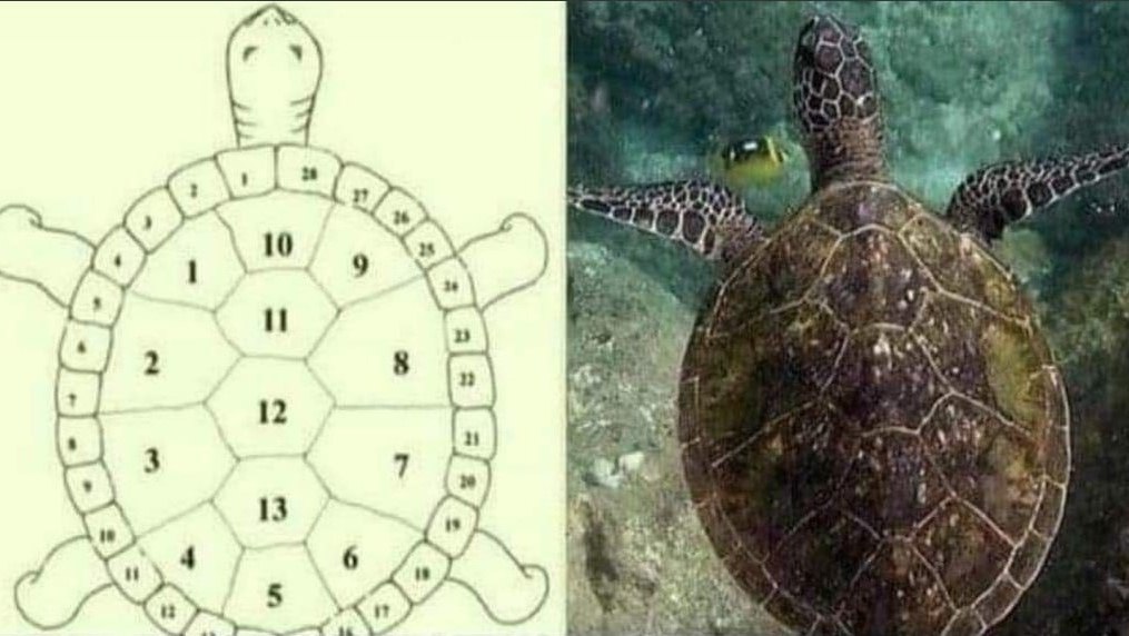 ��� ������� �������� ������ � ������ ���������? ���� �� ����������� ���������� �� ������� ��������, ... - 2