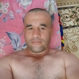 , 40, 