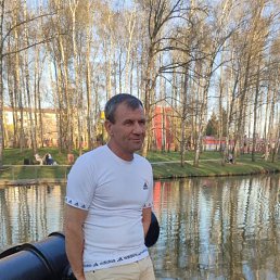 , 53, 