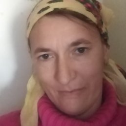 �����, ������, 37 ���