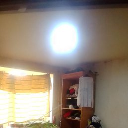 ������, ������, 40 ���