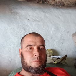 , 33, 
