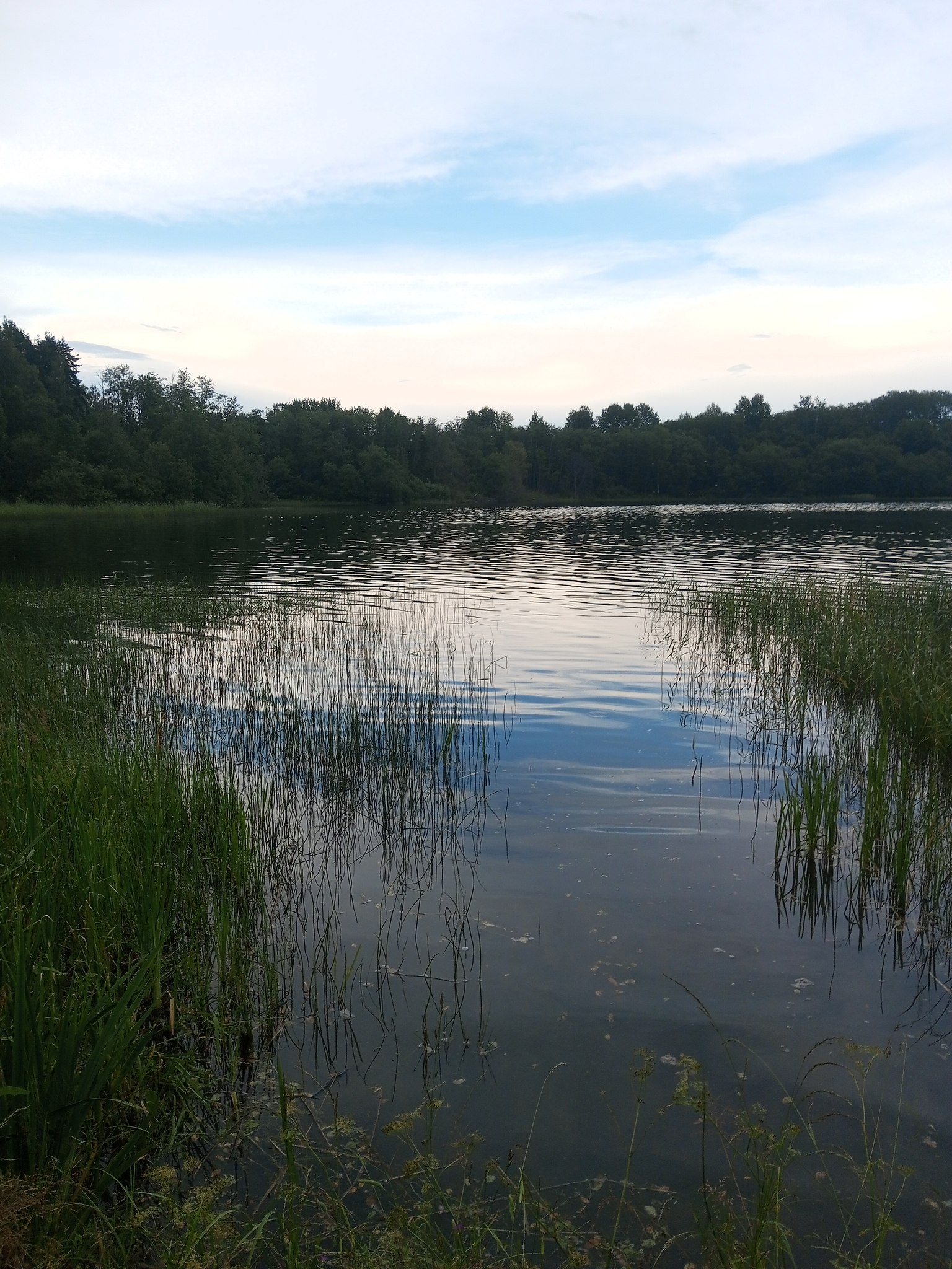 Igor - 23  2025  20:58