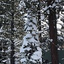 ���� Anatolii, ������ - ��������� 2 ������� 2025