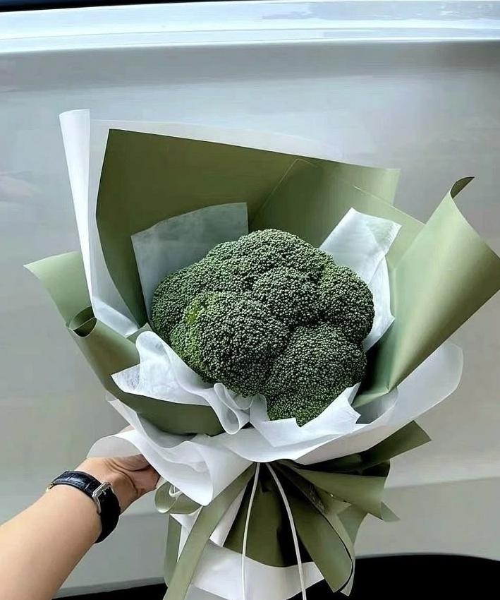 ����������y��� - 6