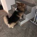 ���� ����--, ������ - ��������� 19 ������ 2025 � ������ ������ ��������
