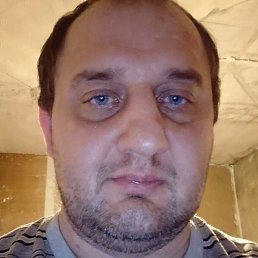 ����� 41, ��������, 41 ���