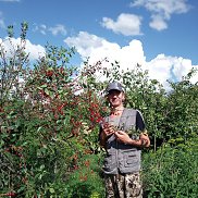 ��������, 40 ���, ���