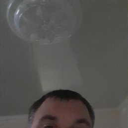 , 41, 