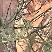 Лилия, 43 года, Новосибирск Лилия, 43 года, Новосибирск