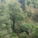 ���� ����, ������, 41 ��� - ��������� 26 ������� 2024 � ������ ���� ����������