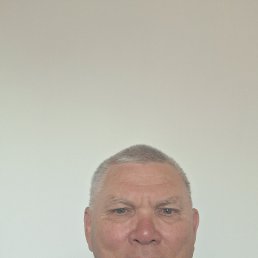 , 61, 