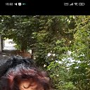 ���� �������, �������, 61 ��� - ��������� 13 ������� 2023 � ������ ���� ����������