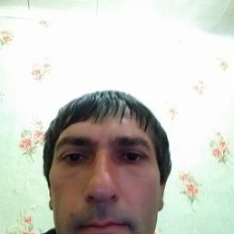 ���� ������, �������, 43 ���� - ��������� 20 ���� 2024