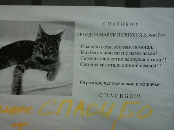 Такие объявления редкость. Но так мило)))