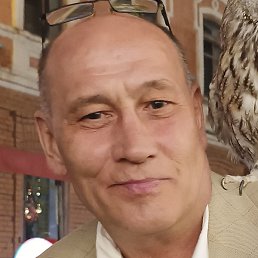 �����, ������, 59 ���