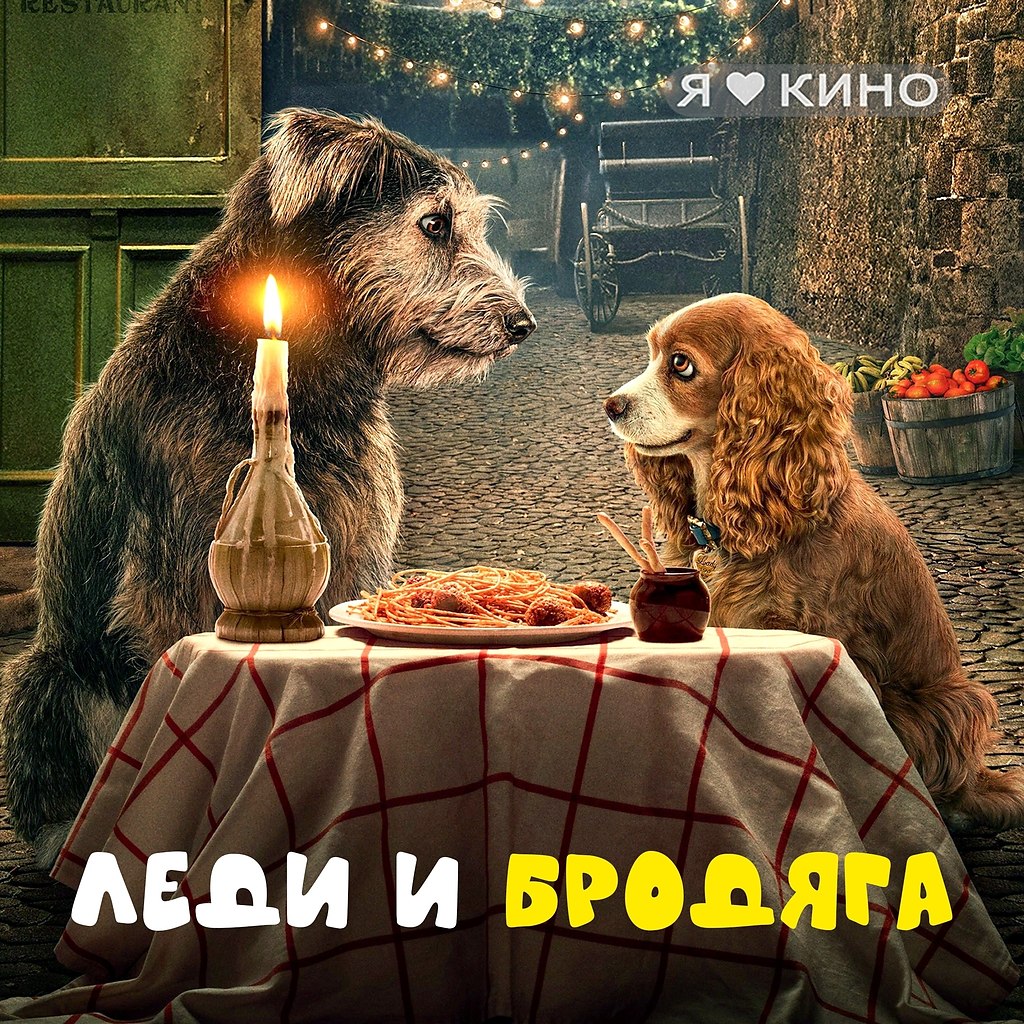 a Koep-ce  co y ec.e  oa (2019) 12+: ...