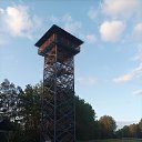 ���� ���������, ����, 41 ��� - ��������� 8 ������� 2025 � ������ ���� ����������