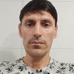 ���� �������, 41 ���, �������