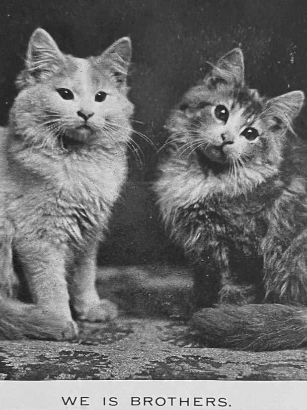 Этим кадрам больше века... Тогда фотография была сложным и долгим делом: громоздкая камера, штатив, ... - 4