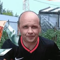 �����, ������, 50 ���