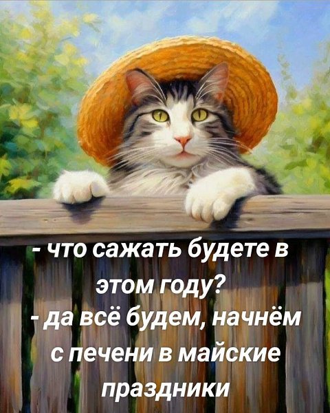   - 28  2025  00:02
