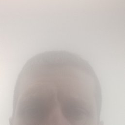 ������, �����-���������, 44 ����