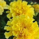 ���� �����, ���������� - ��������� 3 ������� 2024 � ������ ���� ����������