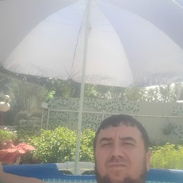 , 34, 