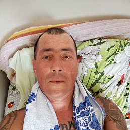 , 44, 