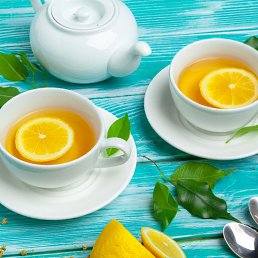 ���� �����, ��������� - ��������� 15 ������� 2026