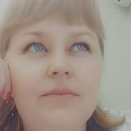 ����, 41 ���, ������