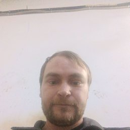 ������, 36 ���, ����