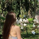 ������� ������ �� ������� ���� ����������