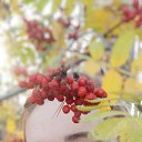 ���� �ναστασα, ��������� - ��������� 7 ������� 2024 � ������ ���� ����������