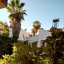 ���� ���������, ������, 67 ��� - ��������� 31 ������� 2024 � ������ ������ 2024�