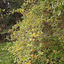 ���� �����, ������, 52 ���� - ��������� 2 ���� 2025 � ������ ���� ����������