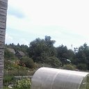 ���� ���������, �������� - ��������� 22 ������� 2025 � ������ �����