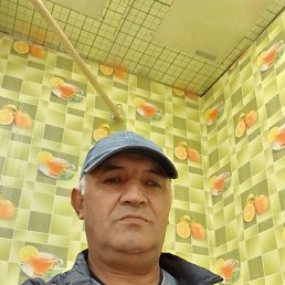 , 56, 