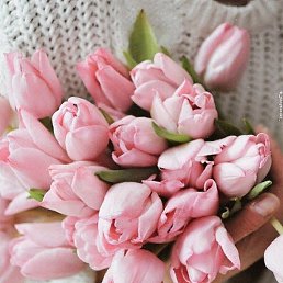 �������, ��������, 39 ���