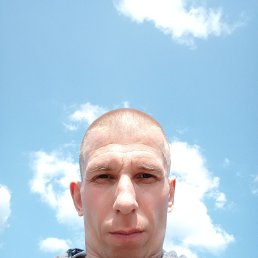 , 37, 
