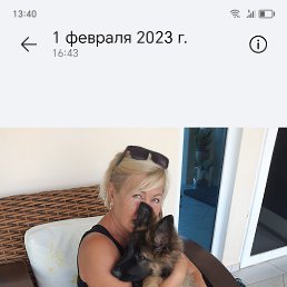 ���� ����, �����-���������, 66 ��� - ��������� 10 ����� 2026