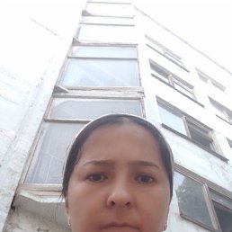 , 33, 