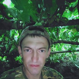  , 33, 