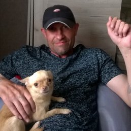 , 44, 