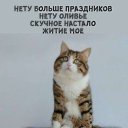 ���� �����, ���������, 45 ��� - ��������� 1 ������� 2024 � ������ ���� ����������