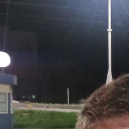 ����, ������, 49 ���