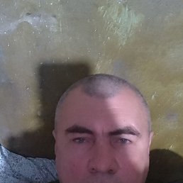 , 46 , 