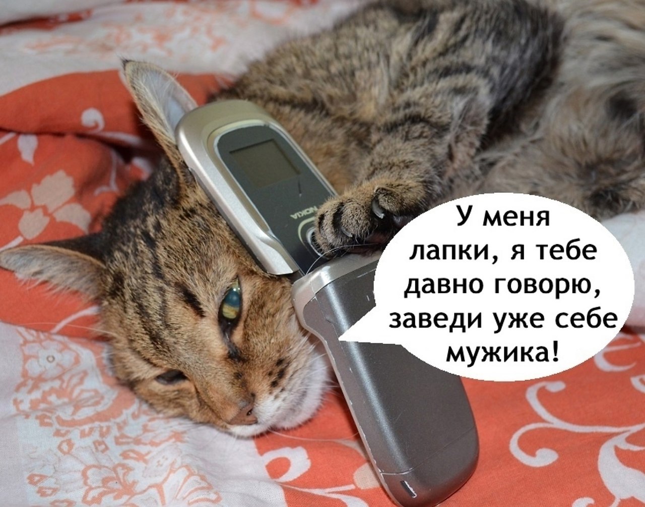 Мужик всегда нужен в доме! - 3