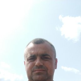  , 41, 